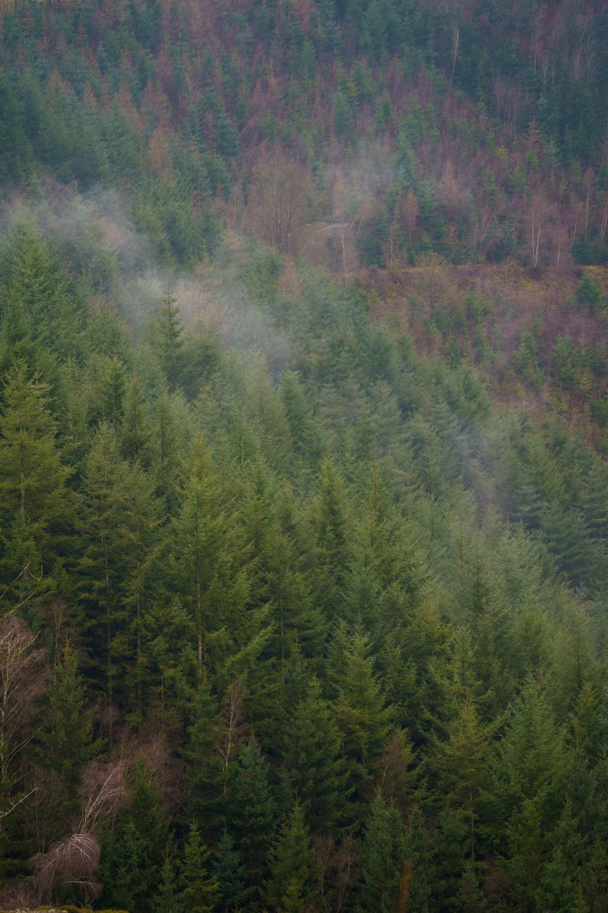 Wandelen in de Ardennen